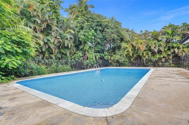 view of pool featuring a patio