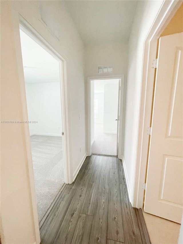 hallway featuring wood-type flooring