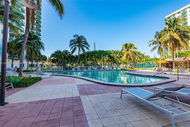 view of swimming pool with a patio area