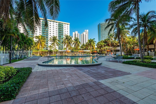 view of pool featuring a patio area