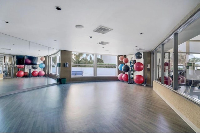 workout room featuring dark wood-type flooring and a healthy amount of sunlight