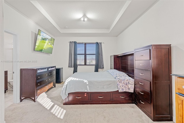 bedroom featuring light colored carpet and a raised ceiling