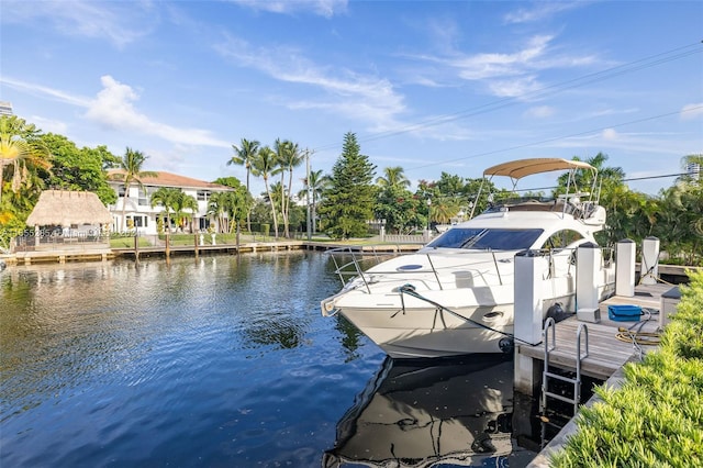 dock area with a water view