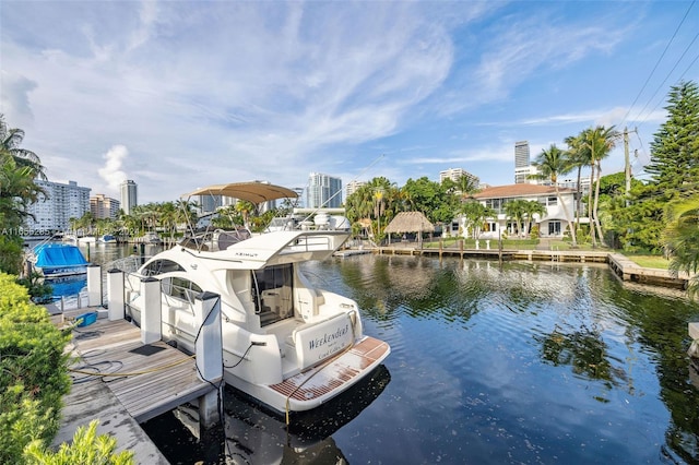 dock area with a water view