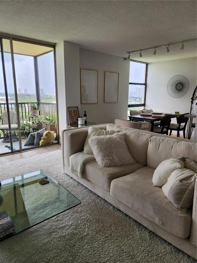 living room with a textured ceiling, carpet, and track lighting