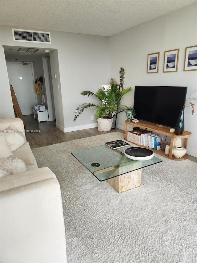 living room featuring hardwood / wood-style floors and a textured ceiling