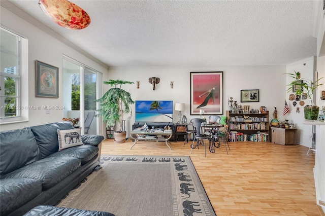 living room with ornamental molding, a textured ceiling, wood-type flooring, and a healthy amount of sunlight