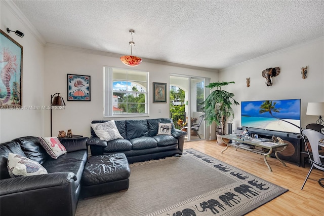 living room with a textured ceiling, light hardwood / wood-style flooring, and ornamental molding