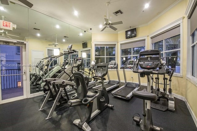 exercise room featuring ceiling fan and crown molding