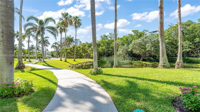 surrounding community featuring a lawn