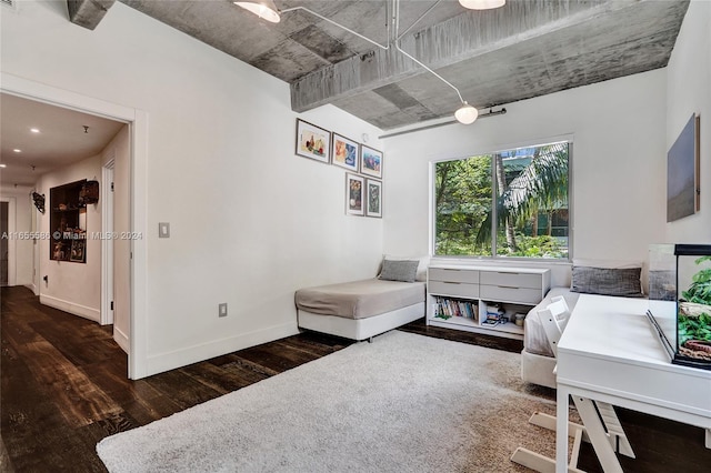 interior space featuring dark wood-type flooring