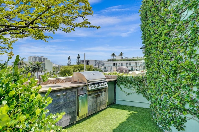 view of yard with area for grilling