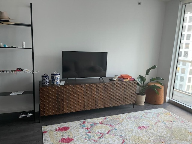 living room with hardwood / wood-style floors