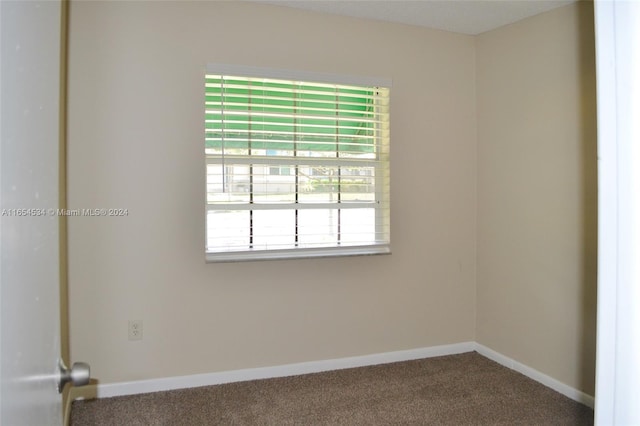 spare room featuring carpet floors