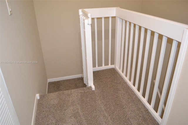 stairs with carpet flooring