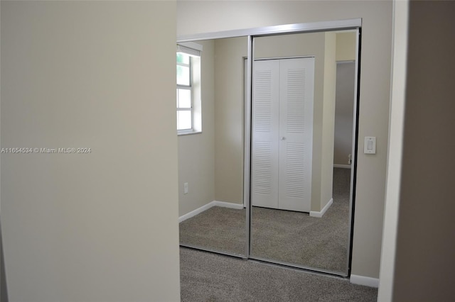 unfurnished bedroom with a closet and carpet