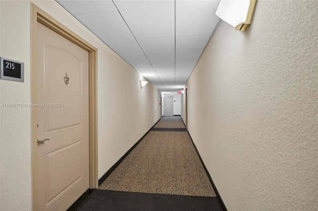 hallway featuring carpet flooring