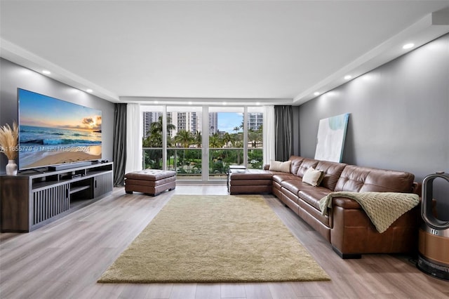 living room with floor to ceiling windows and light hardwood / wood-style floors