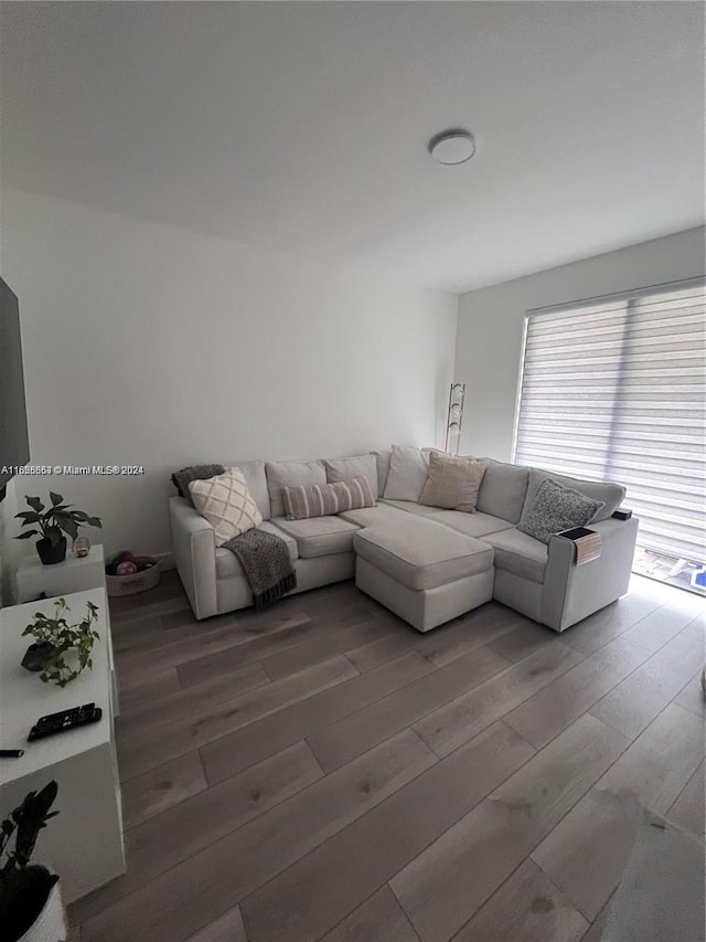 living room featuring wood finished floors