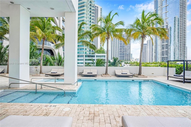 view of swimming pool with a patio area