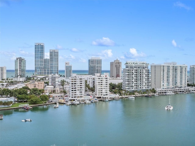 drone / aerial view with a water view