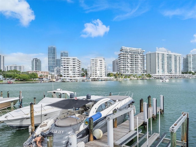 view of dock with a water view