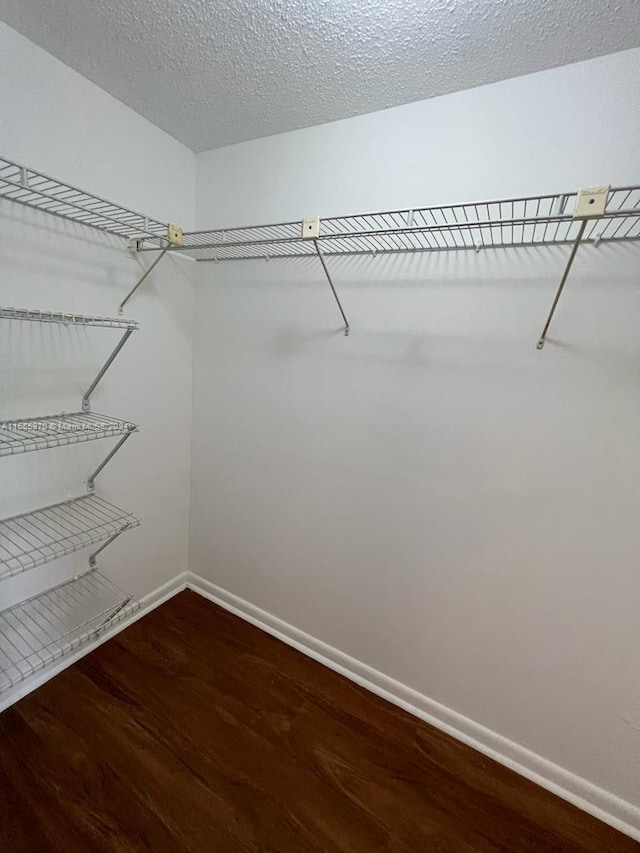 walk in closet with wood-type flooring