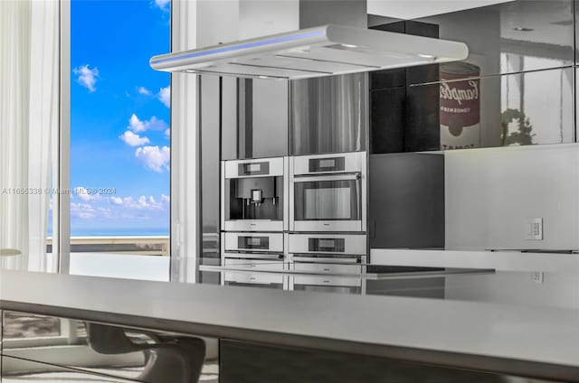 kitchen with plenty of natural light, exhaust hood, and double oven