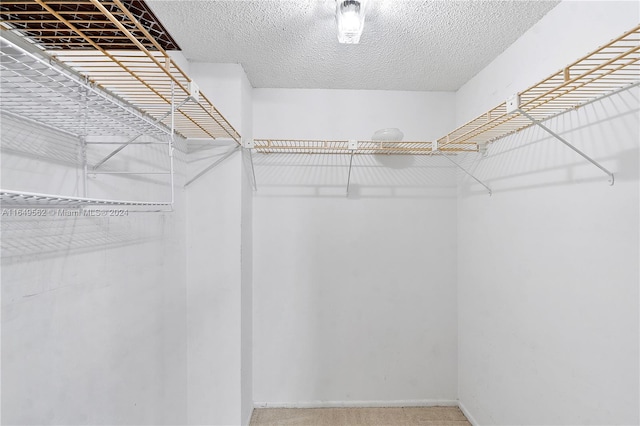 walk in closet featuring carpet floors