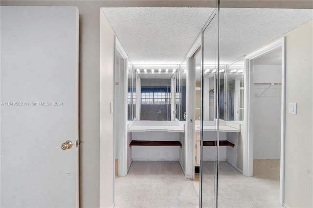 interior space featuring light carpet, a textured ceiling, and a closet