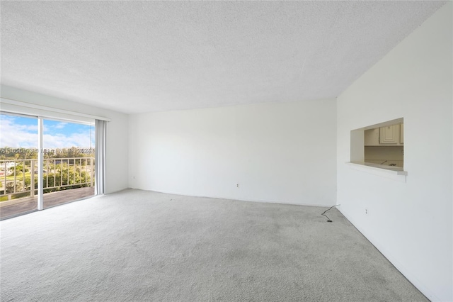 carpeted empty room with a textured ceiling