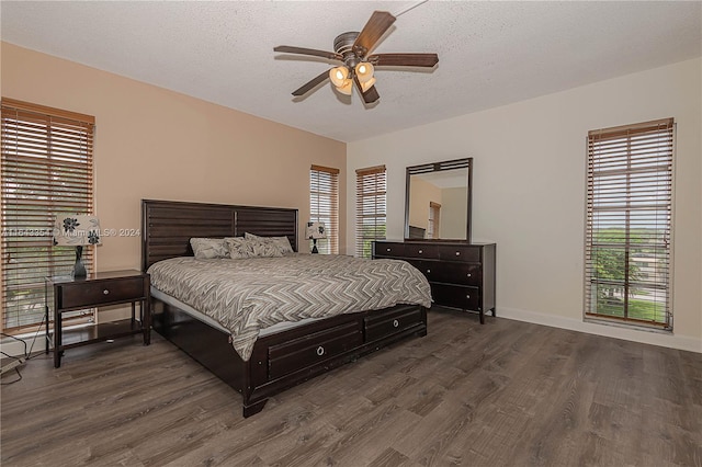 bedroom featuring multiple windows and dark hardwood / wood-style floors