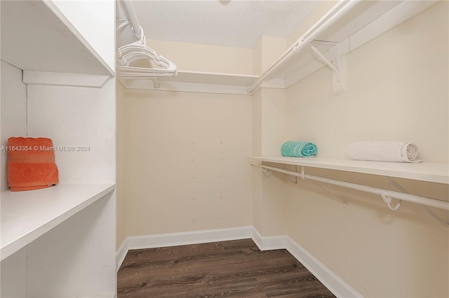 walk in closet with dark wood-type flooring