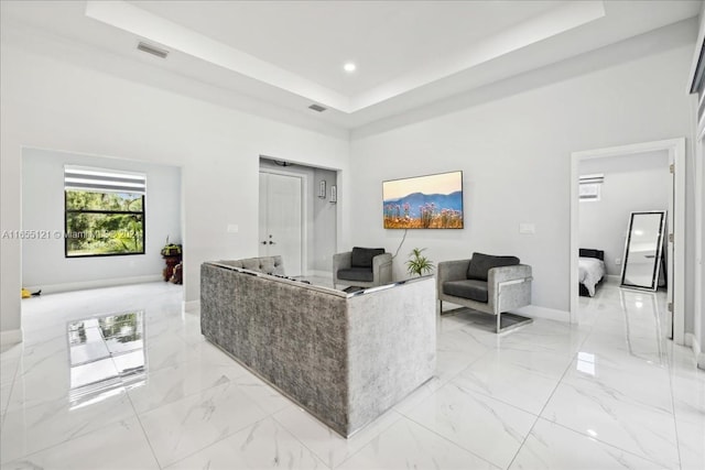 living room with a raised ceiling