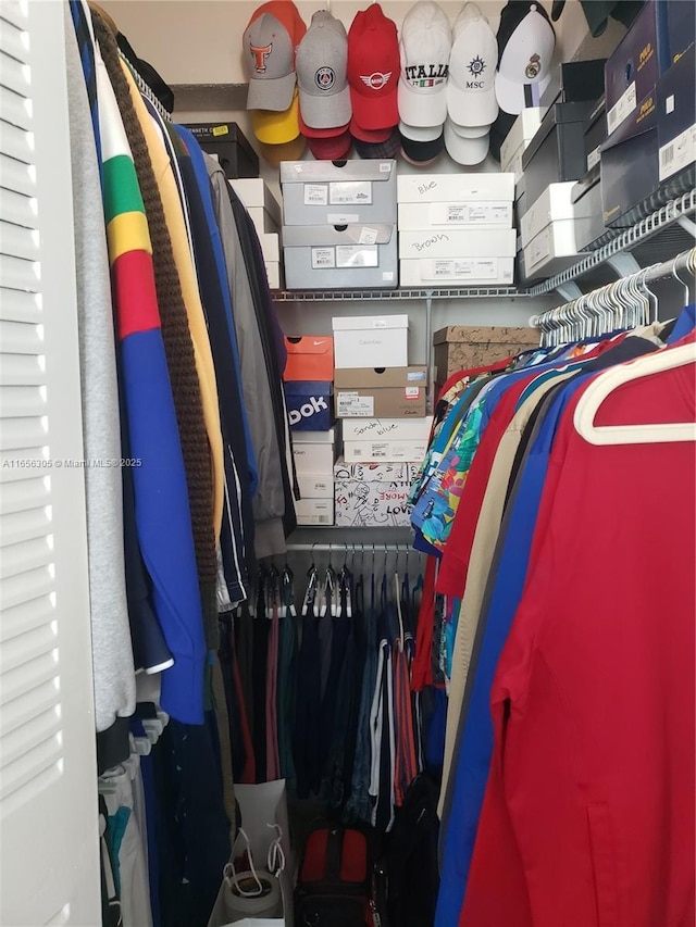 view of spacious closet