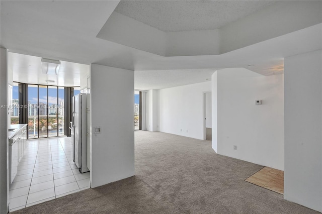 carpeted spare room featuring expansive windows and a textured ceiling