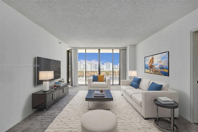 carpeted living room with expansive windows and a textured ceiling