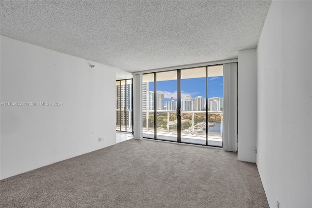 carpeted spare room with a textured ceiling and a wall of windows