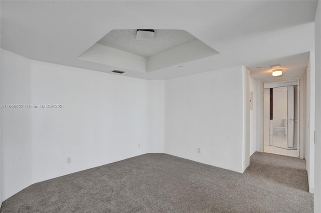 carpeted spare room with a tray ceiling