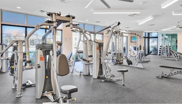 workout area featuring ceiling fan and a wall of windows