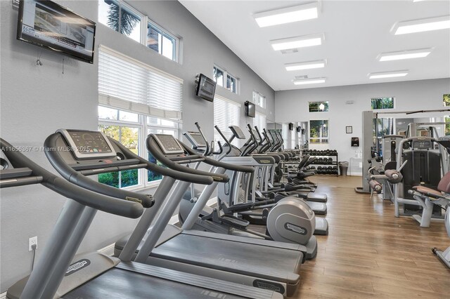 exercise room featuring hardwood / wood-style flooring