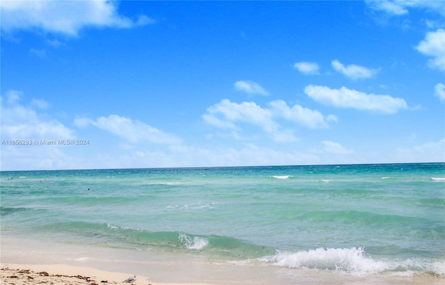 view of water feature featuring a view of the beach