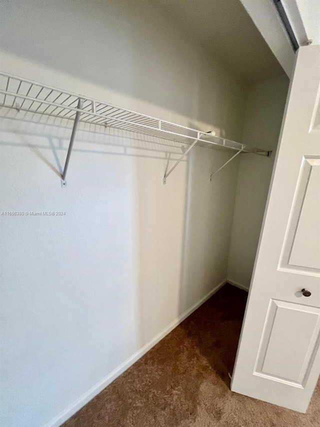 walk in closet featuring carpet