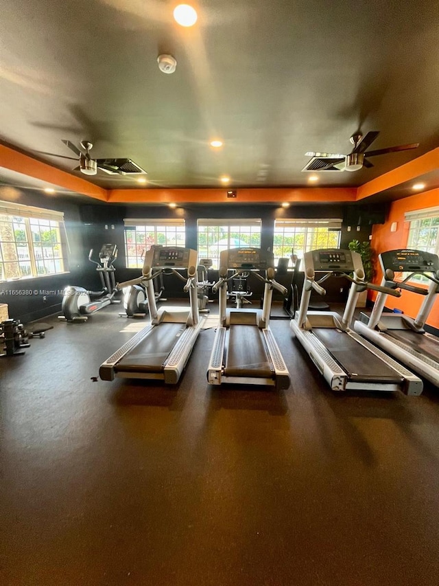 gym featuring ceiling fan and a wealth of natural light