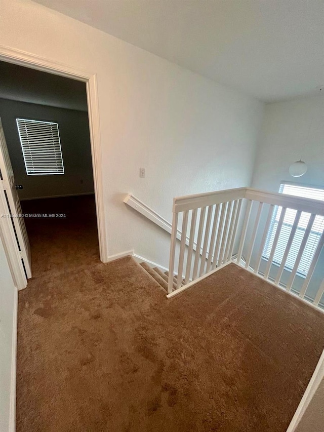 stairs featuring carpet flooring