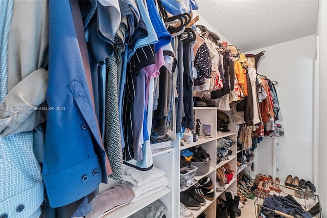 view of spacious closet