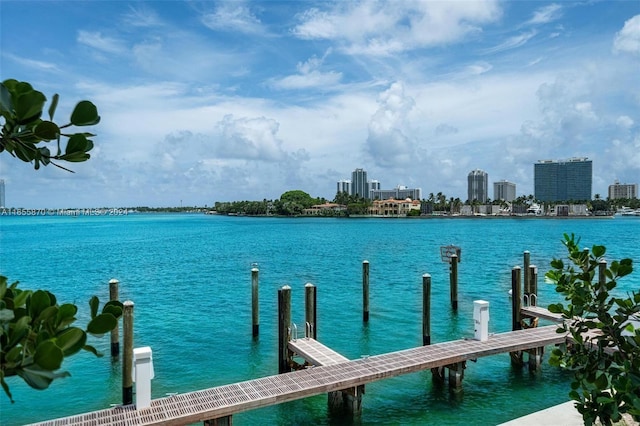 dock area featuring a water view