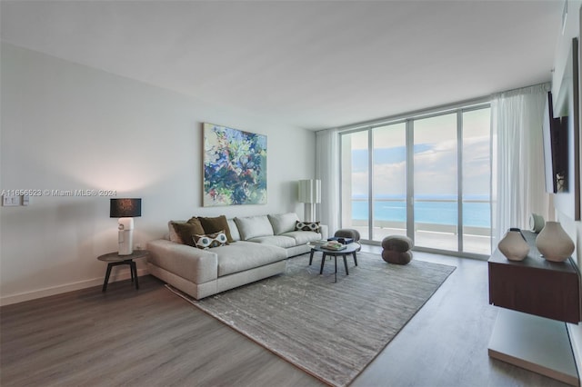 living room featuring a water view, a wall of windows, and wood-type flooring