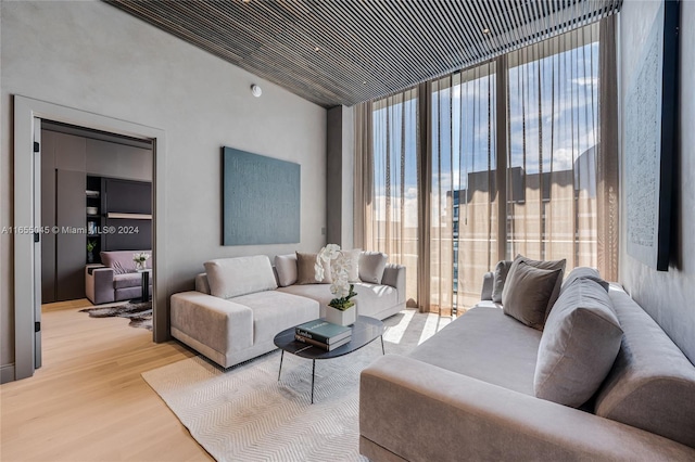 living room featuring light hardwood / wood-style floors