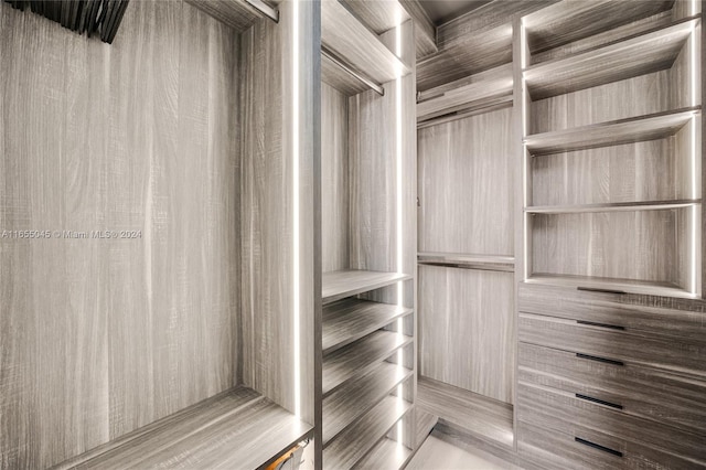 view of walk in closet